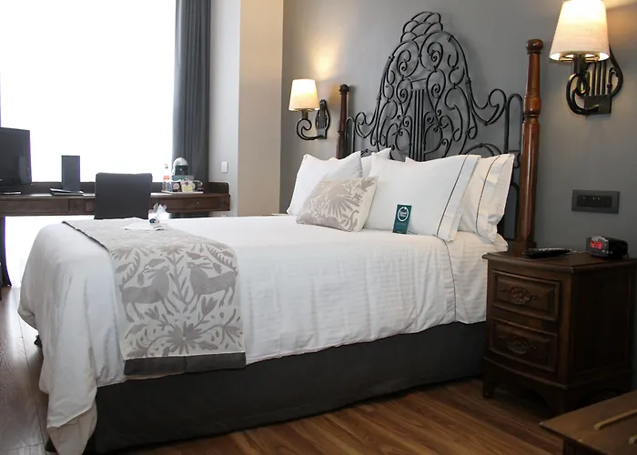 Where to Stay in Mexico City