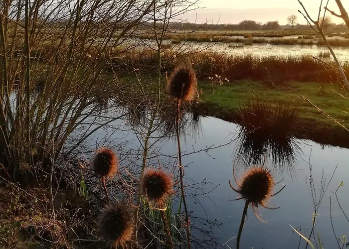 Meilleurs hôtels avec Vue imprenable sur mer