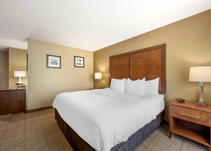 Top Hotels in Lexington for Unforgettable Stay